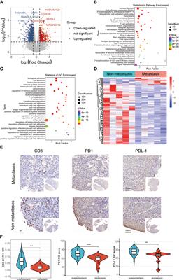 An immune-related prognostic model predicts neoplasm-immunity interactions for metastatic nasopharyngeal carcinoma